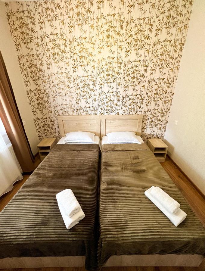 Royal Galaxy Apartment Kazbegi Kültér fotó